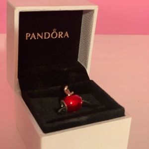 Disney Pandora Charm